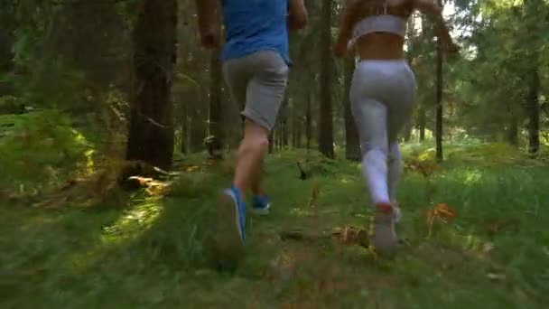 BASSO ANGOLO: Allenamento sportivo di coppia nei boschi panoramici per una gara di trail running . — Video Stock