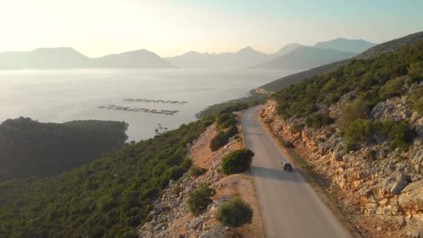 Akşamları turistlerin arkasından uçarak kıyı şeridinde yol alıyoruz.. — Stok video