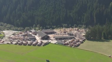 Avusturya 'da sık bir ladin ormanının yakınındaki büyük bir kereste fabrikasının etrafında uçuyor..
