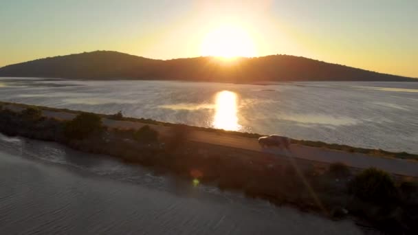 SOL FLARE: La gente en viaje por carretera conduce por una carretera vacía que cruza la bahía iluminada por el sol . — Vídeo de stock