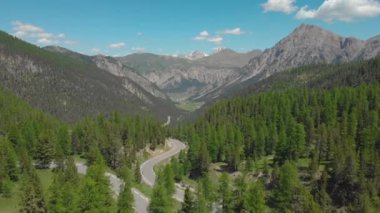 Fransa 'da ormanın içinden geçen boş bir asfalt yolda uçuyoruz..