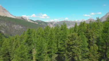 Yükselen kayalık dağlara ve uçsuz bucaksız bir çam ormanına doğru uçuyor..