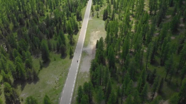 DRONE: Reisende auf Motorrad und Fahrrad cruisen durch den Fichtenwald. — Stockvideo