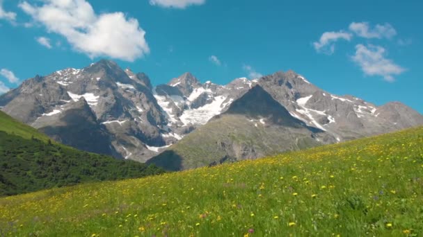 AERIAL: Volando sobre las florecientes praderas con vistas a los rocosos Alpes franceses — Vídeos de Stock