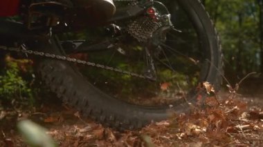 Kuru kahverengi yapraklar havada uçuşuyor ve bisikletçiler ormanda geziniyor.