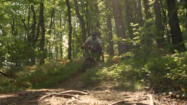 Nízký úhel: Jasné letní sluneční paprsky svítí na stezce, jak cyklista jede z kopce. — Stock video