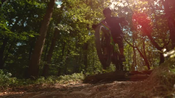 Nízký úhel: Mladý muž horský cyklista jezdí na kole po sluncem osvětlené polní cestě. — Stock video