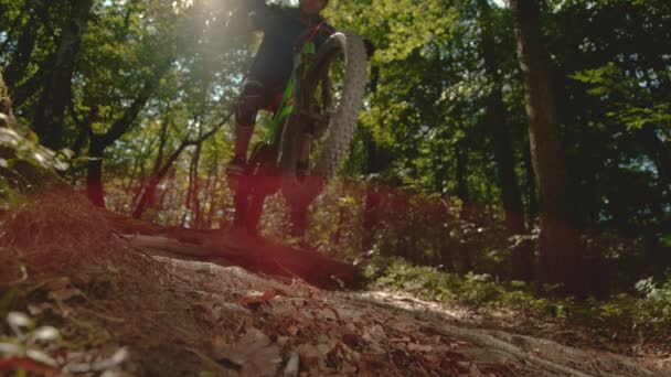 LENS FLARE: Cool skott av en man som rider en elektrisk cykel genom den solbelysta skogen. — Stockvideo