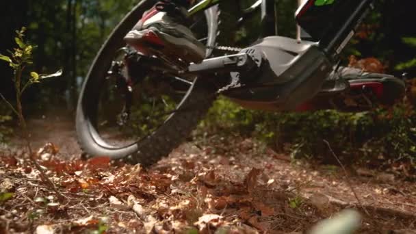 STÄNGA UPP Blad och små grenar flyger i luften som mountainbiker rider sin cykel — Stockvideo