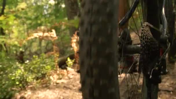 CLOSE UP: Efter en oigenkännlig cyklist trampar sin cykel genom skogen. — Stockvideo