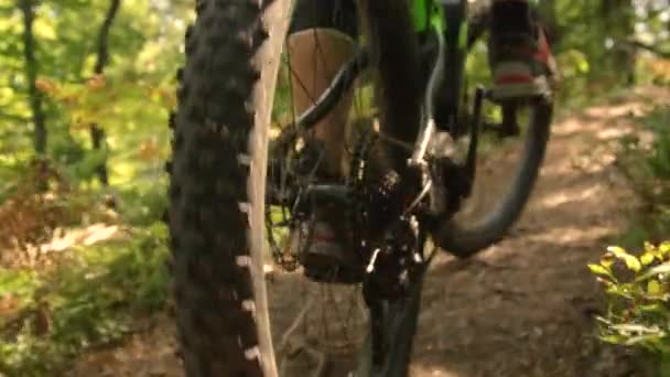 SLOW MOTION: Detaljerad bild av bakhjulet på cykel som man pedaler genom skogen — Stockvideo