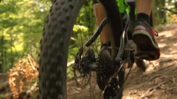 CLOSE UP: Onherkenbare man rijdt zijn elektrische fiets langs een bospad. — Stockvideo