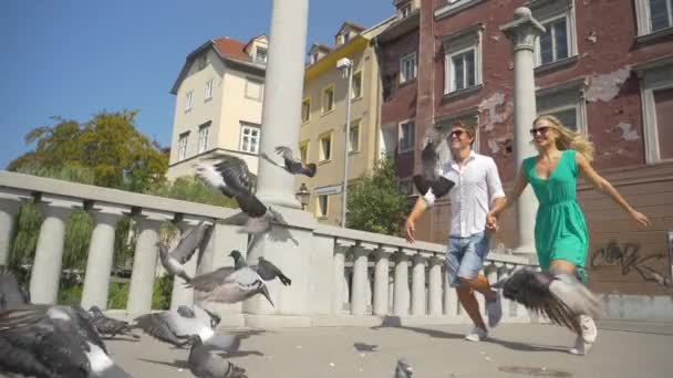 ÁNGULO BAJO: Hombre y mujer alegres corren hacia un rebaño de palomas para asustarlos . — Vídeos de Stock
