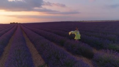 Lavanta tarlasında yürürken genç bir kadının üzerinde uçuyor..