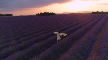 Lavanta tarlasında yürürken dişi bir gezginin üzerinde uçuyor..