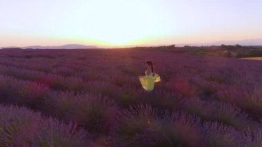 Provence 'deki nefes kesen lavanta tarlalarını keşfeden turist kız..