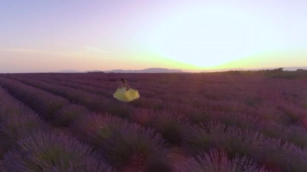 DRONE: Gouden zonnestralen schijnen op de vrouw in gele jurk lopen langs lavendel — Stockvideo