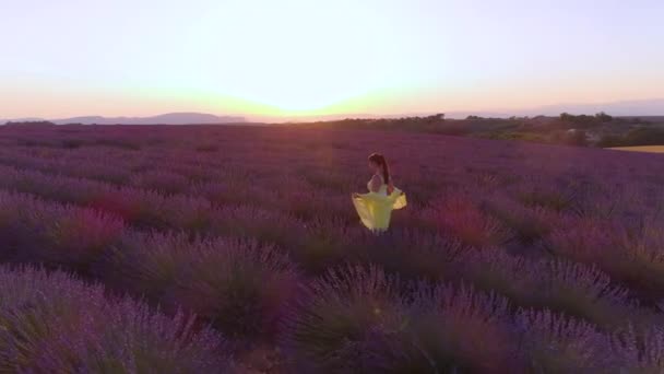 DRONE: Turista lány vizsgálja a lélegzetelállító mezők levendula Provence. — Stock videók