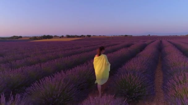 DRONE: Mulher alegre em vestido amarelo caminha através do campo vazio de lavanda . — Vídeo de Stock