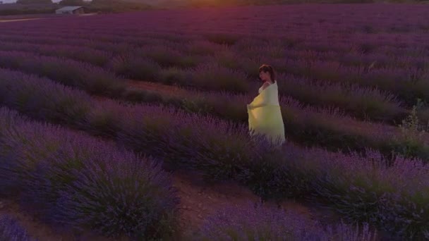 AERIAL: Mujer feliz explorando los pintorescos prados violetas en una mañana dorada . — Vídeo de stock