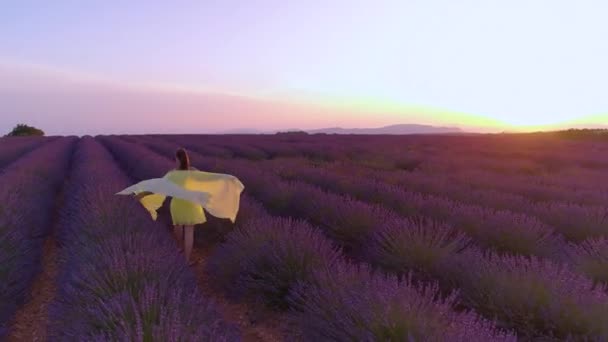 DRONE Voando ao redor mulher em um vestido amarelo andando ao redor do campo florescente — Vídeo de Stock