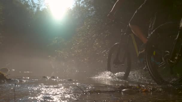 Двоє хлопців їдуть на гірських велосипедах через спокійний струмок і розбризкують воду — стокове відео
