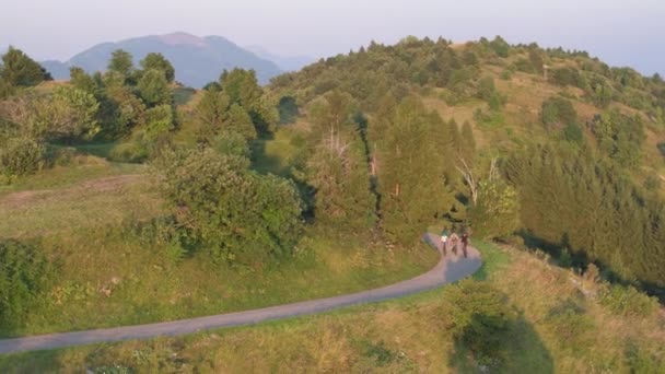 AERIAL: Volando sobre amigos montando bicicletas a lo largo del camino del campo en la mañana soleada . — Vídeo de stock