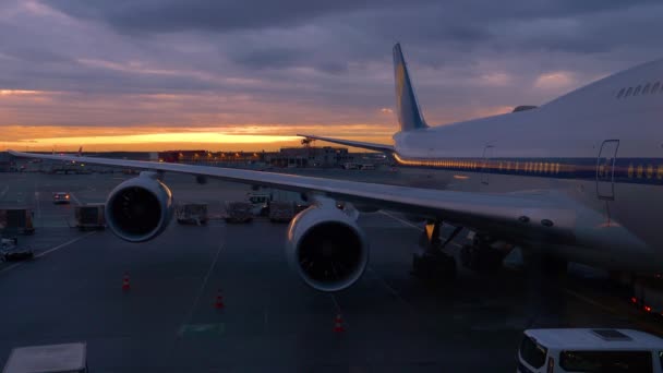 Lufthansas flygplan servas innan start på en solig vinterkväll — Stockvideo