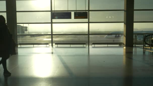 SILHOUETTE: Commercial airplane taxis along a busy terminal on a sunny morning. — Stock Video