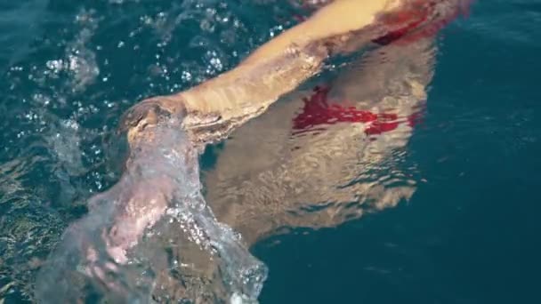 CLOSE UP: Unrecognizable woman splashes the glassy water as she swims in the sea — Stock Video