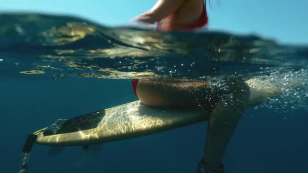 HALF HALF: Неузнаваемый серфер сидит на доске в ожидании новых волн — стоковое видео