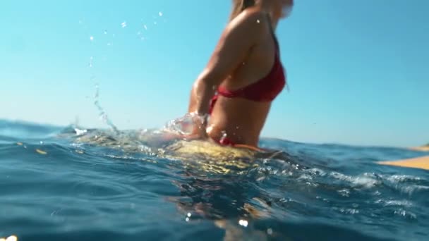 HALF UNDERWATER : Une jeune femme éclabousse d'eau alors qu'elle est assise sur sa planche de surf . — Video