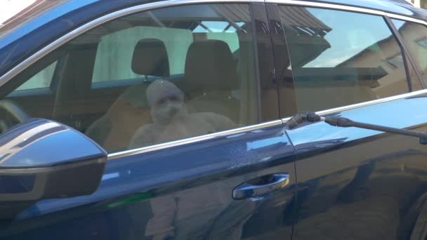 CERRAR UP Virologista irreconocible rocía la manija de la puerta del coche con spray antiviral — Vídeo de stock