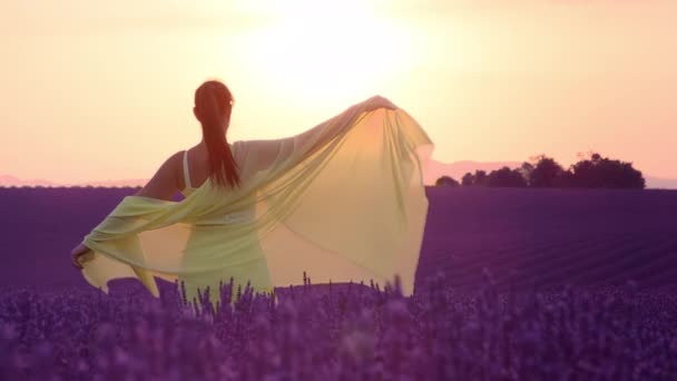 SUN FLARE: Unrecognizable woman extends her arms while observing the sunset. — Stock Video