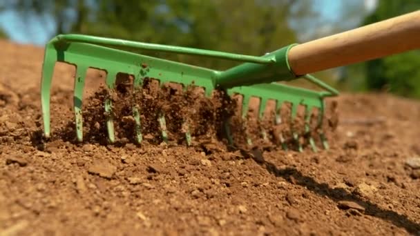 CLOSE UP, DOF: Groene metalen hark egaliseren van de vruchtbare grond klaar voor aanplant. — Stockvideo