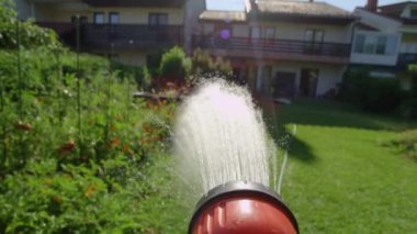 Banliyö evinin arkasındaki yemyeşil sebze bahçesini suluyorum..