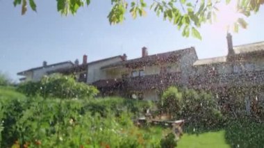Yaz yağmurunun ferahlatıcı suları renkli sebze bahçeleri..