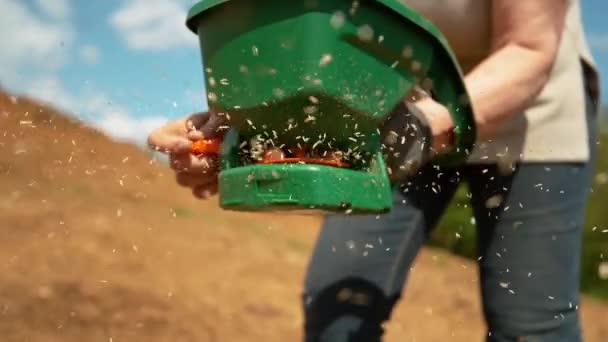 CLOSE UP, DOF: Oigenkännlig bonde sådd spannmål på en solig sommar eftermiddag. — Stockvideo