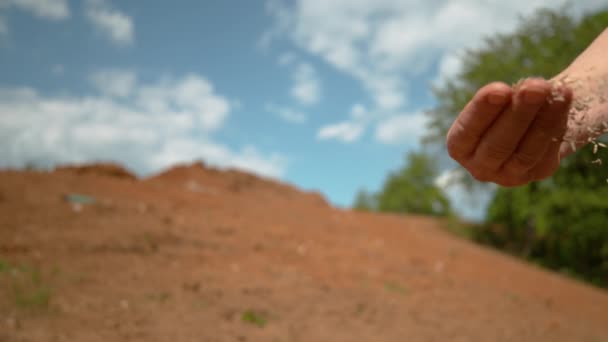 COPY SPACE: Unrecognizable person sowing grass across patch of dirt on sunny day — Stock Video