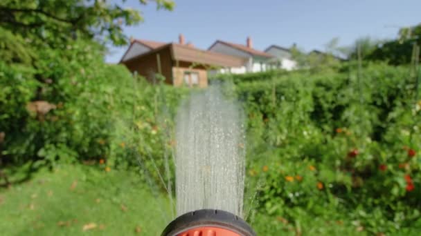 POV: Jardinero regando los coloridos pimientos y tomates que crecen en exuberante jardín . — Vídeos de Stock