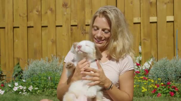 CLOSE UP: Туберкульозний білий щеня намагається вибратися з красивих жіночих колін . — стокове відео