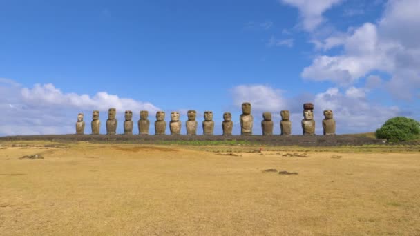 DRONE: Megalithic Moai γλυπτά για Rapa Nui κάτω από το καθαρό γαλάζιο ηλιόλουστο ουρανό. — Αρχείο Βίντεο