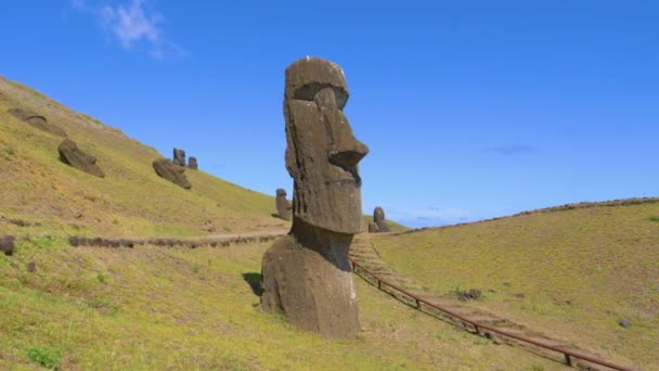 AERIAL: Політ над трав'янистими полями, заповнений статуями з вулканічної матерії — стокове відео