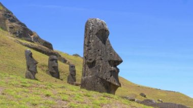 İzler Paskalya Adası 'ndaki bir grup büyüleyici moai heykelinin yanından geçiyor..