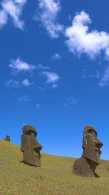 Açık mavi gökyüzünün altındaki tarihi moai heykellerinin resimli bir çekimi..