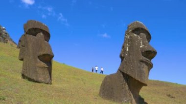 Turistler otlak tepenin etrafında yürürler ve moai heykellerini gözlemlerler..