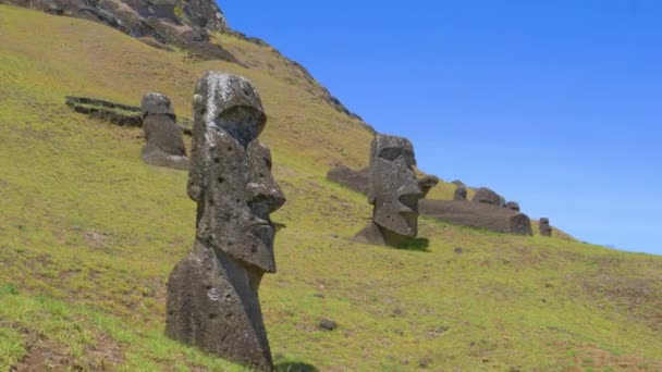 AERIAL: Vista panorámica de las estatuas volcánicas negras dispersas alrededor de las colinas cubiertas de hierba. — Vídeos de Stock