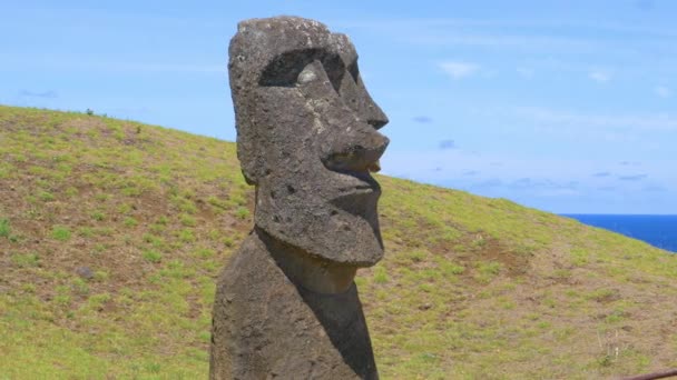 DRONE: Захоплюючий знімок скульптур моаїв, встановлених на трав'янистому пагорбі з видом на океан — стокове відео