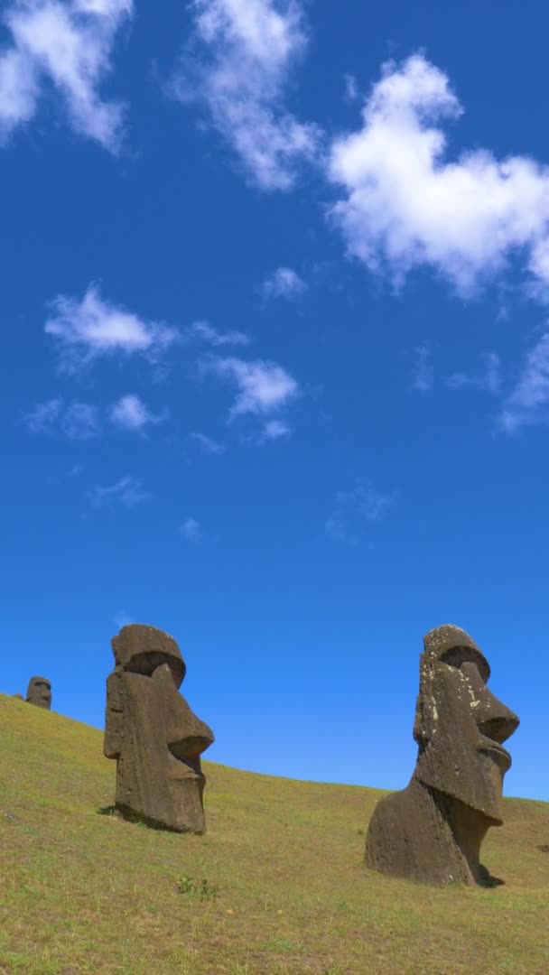 VERTICAL: Schilderachtige opname van historische moai beelden onder de helderblauwe luchten. — Stockvideo