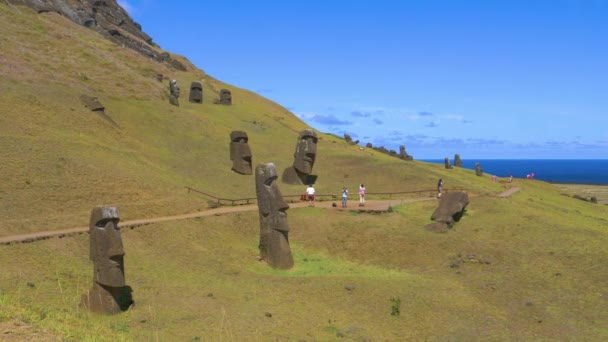 AERIAL: Podróżnicy robiący zdjęcia starożytnych nastrojów rozrzuconych po Wyspie Wielkanocnej — Wideo stockowe